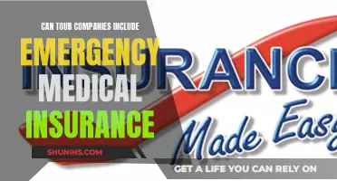 Tour Companies: Should They Provide Emergency Medical Insurance?