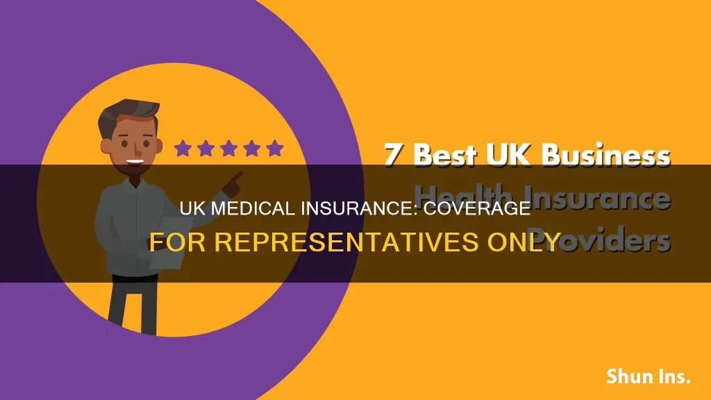 can uk get medical insurance just for representative