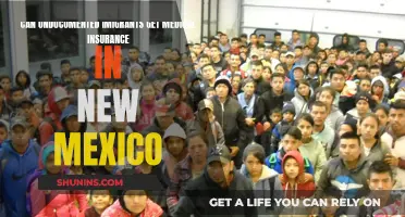 Undocumented Immigrants and Medical Insurance in New Mexico
