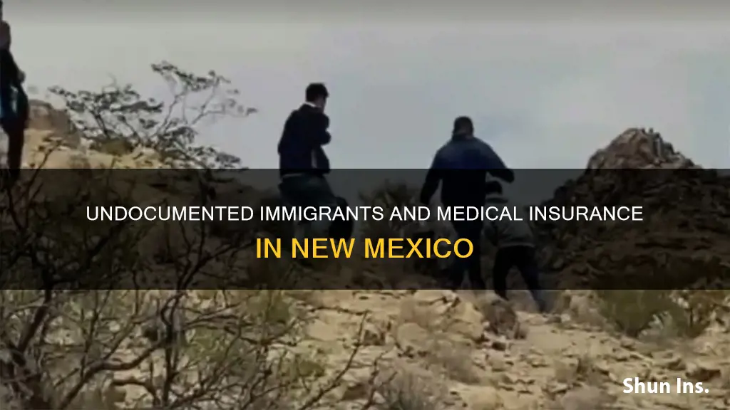 can undocumented imigrants get medical insurance in new mexico