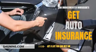 Undocumented Immigrants: Auto Insurance Options