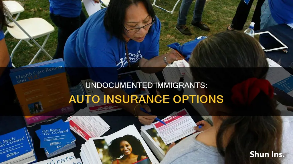 can undocumented immigrants get auto insurance