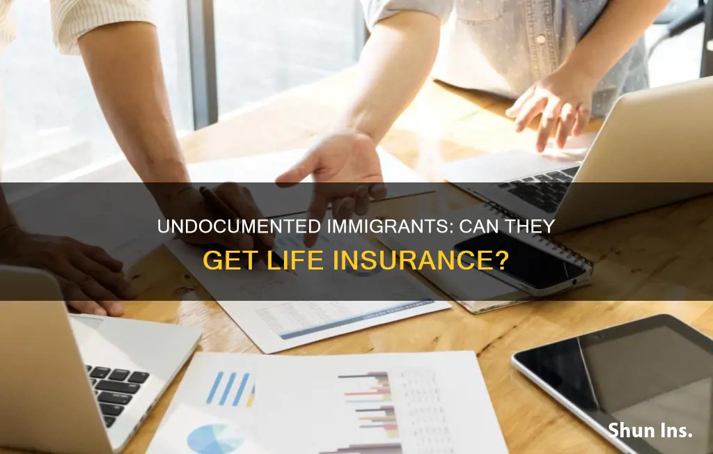 can undocumented immigrants get life insurance