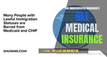 Undocumented Immigrants: Access to Medical Insurance?