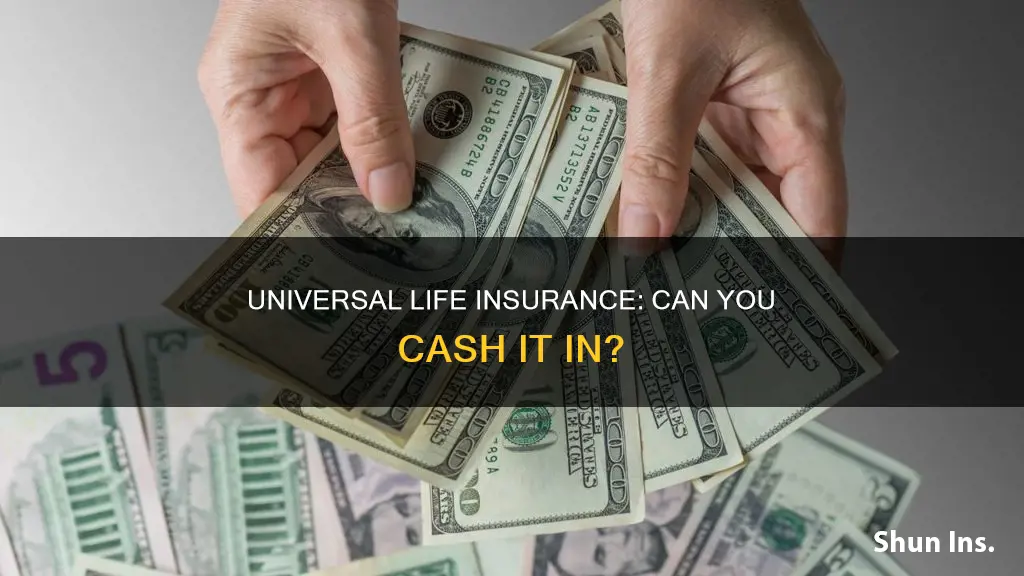 can universal life insurance be cashed in