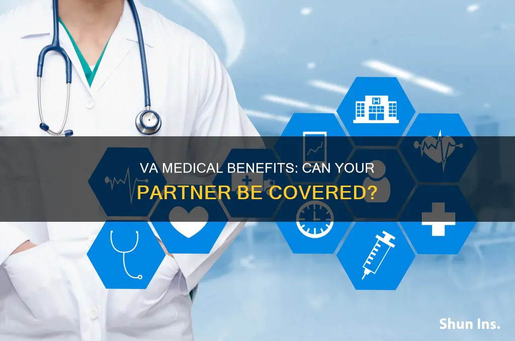 can va medical benefits medical insurance apply to significant other