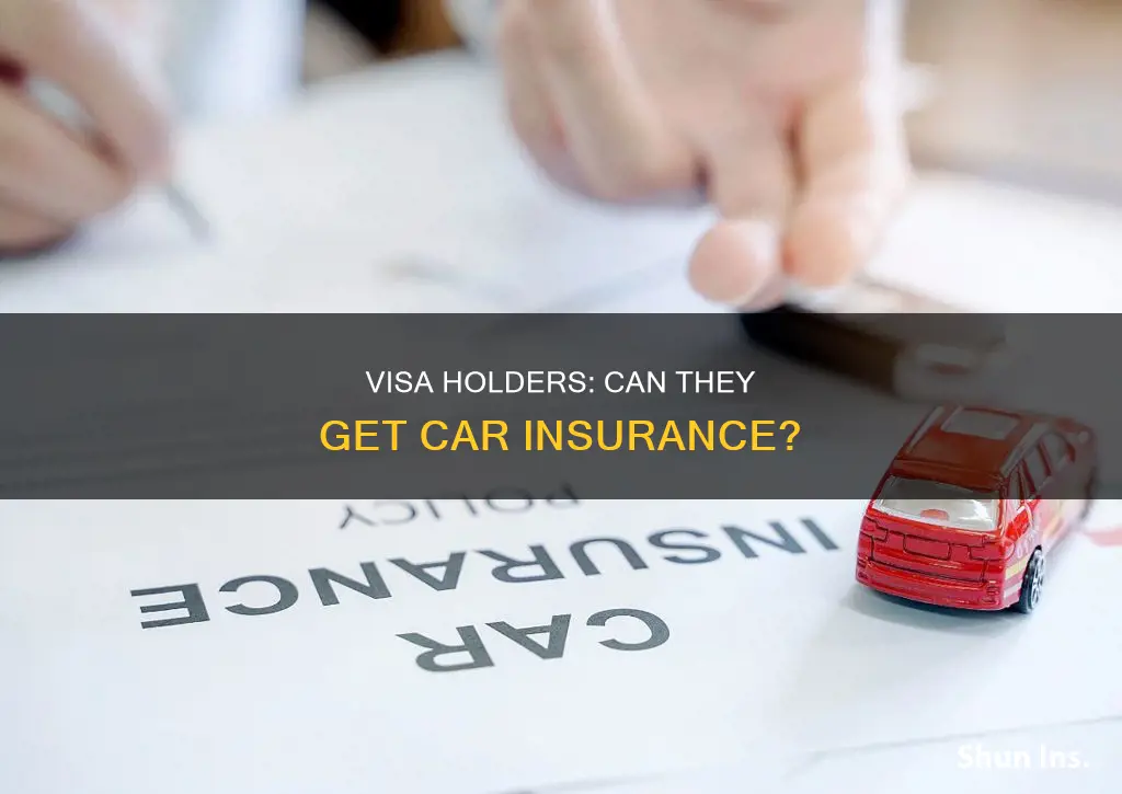 can visitors on a visa obtain auto insurance