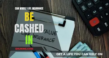 Whole Life Insurance: Cashing in on Your Policy?