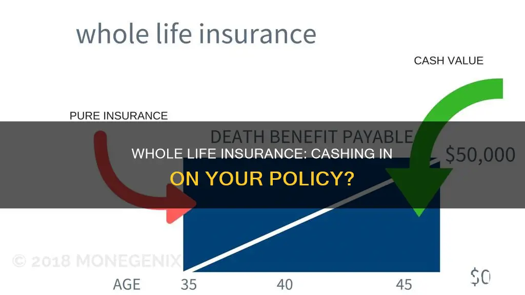 can whole life insurance be cashed in