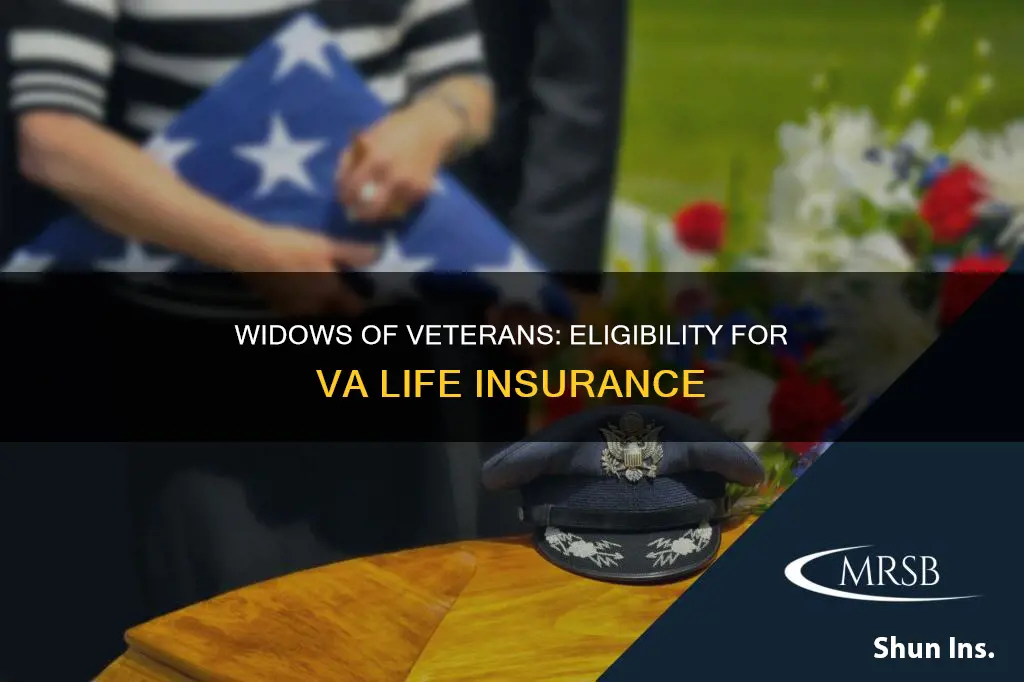 can widows of deceased veterans apply for va life insurance