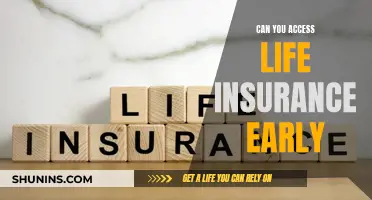 Accessing Life Insurance Early: What Are Your Options?