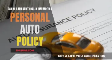 Insured: Personal Auto Policy Add-On