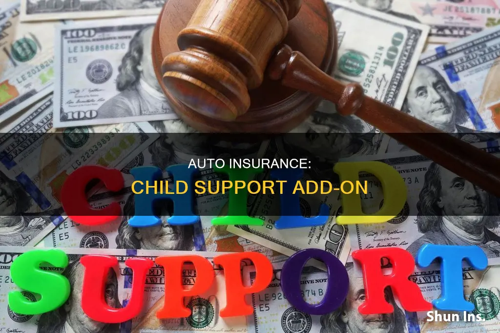 can you add auto insurance to child support