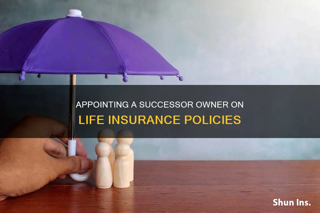 can you appoint a successor owner on life insurance polocies