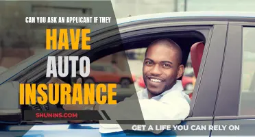 Auto Insurance: A Fair Hiring Question?