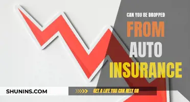 Auto Insurance: Dropped or Renewed?