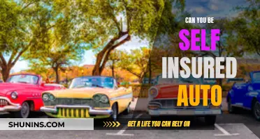 Self-Insured Auto: Is It Possible?