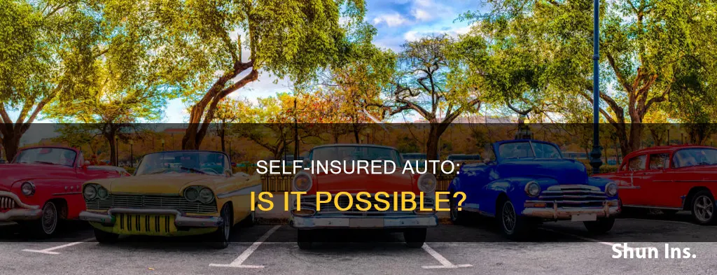 can you be self insured auto