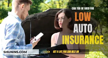 Underinsured: The Risk of Low Auto Coverage