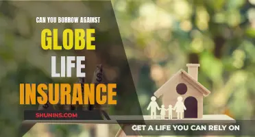 Borrowing Against Globe Life Insurance: What You Need to Know