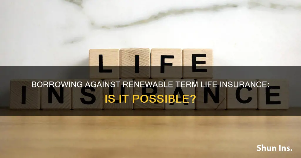 can you borrow against renewable term life insurance