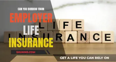 Employer Life Insurance: Borrowing from Your Policy?