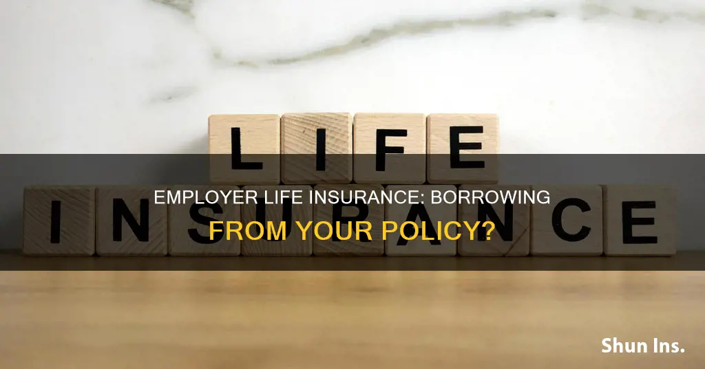 can you borrow from employer life insurance