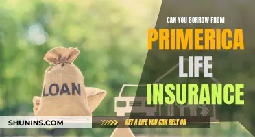 Primerica Life Insurance: Borrowing Options and Benefits