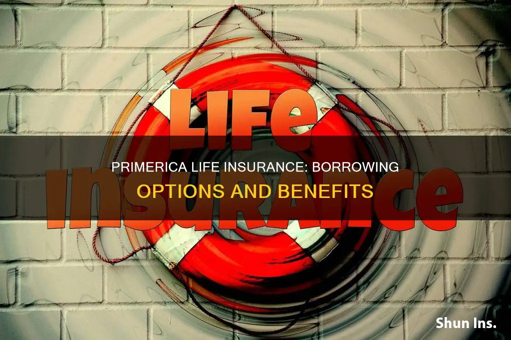 can you borrow from primerica life insurance