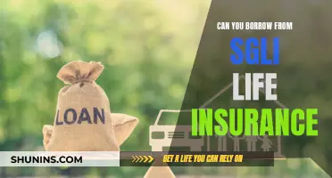 Borrowing from SGLI Life Insurance: What You Need to Know