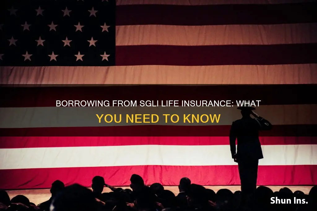 can you borrow from sgli life insurance