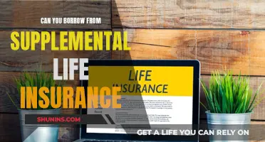 Supplemental Life Insurance: Borrowing from Your Policy?