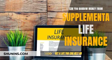 Borrowing Money from Supplemental Life Insurance: Is It Possible?