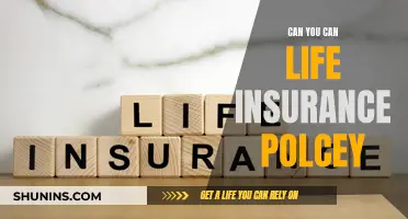 Life Insurance Policies: Can You Cancel Yours?