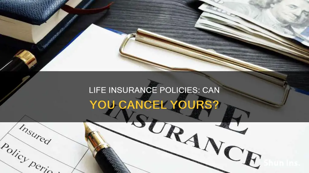 can you can life insurance polcey