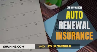 Auto-Renewal Insurance: Can You Cancel?