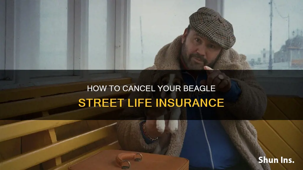 can you cancel life insurance beagle street