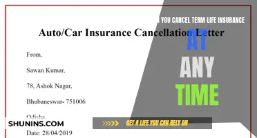 Term Life Insurance: Cancel Anytime, No Strings Attached