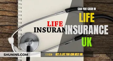 Life Insurance Payouts: Can You Cash Them In?