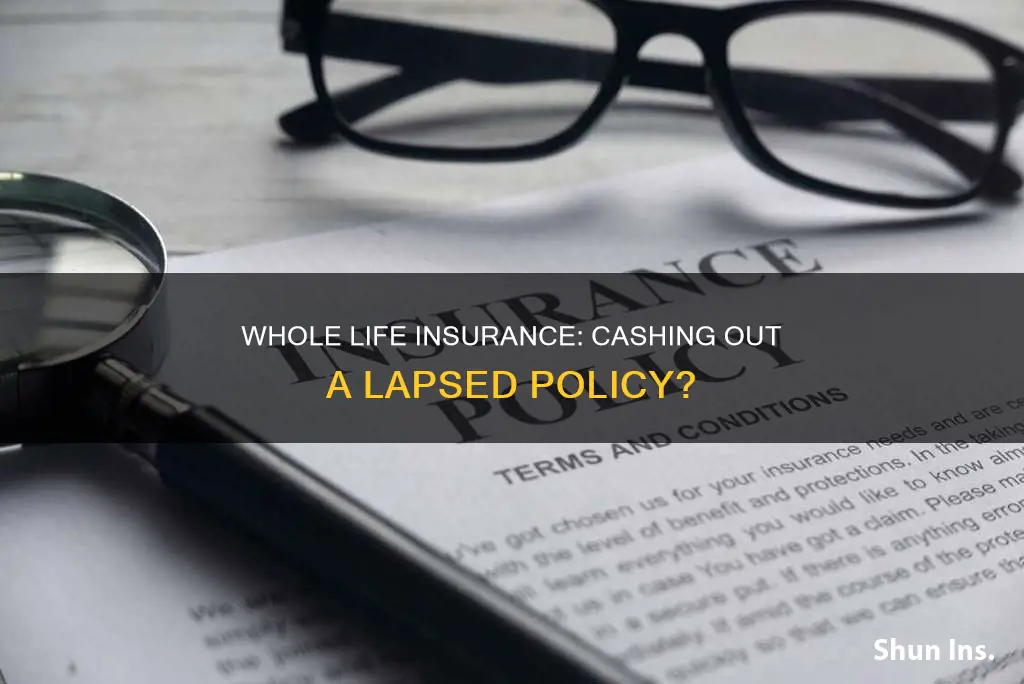 can you cash out laspse whole life insurance