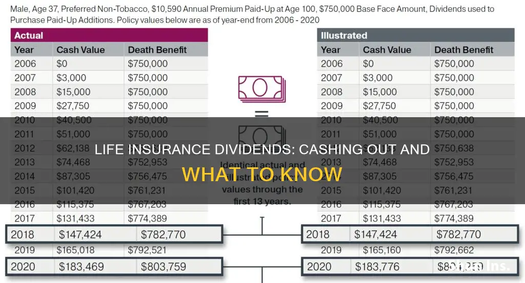 can you cash out life insurance dividends