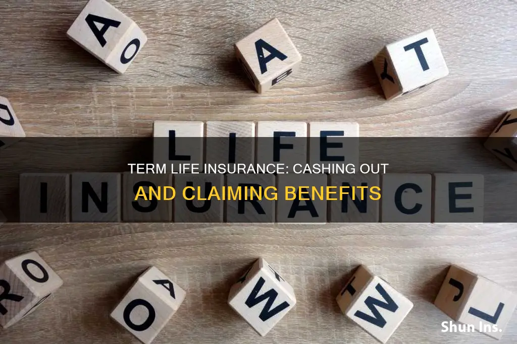 can you cash out term life insurance