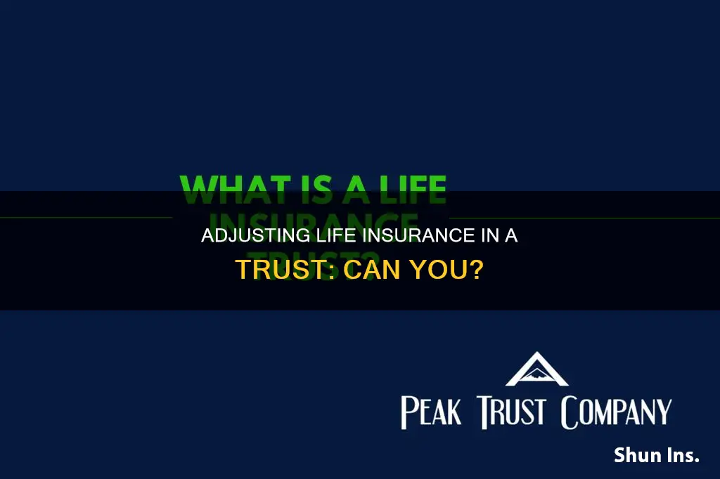 can you change amount on life insurance in a trust