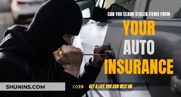 Auto Insurance: Stolen Items, Now What?