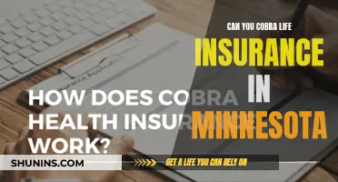 Cobra Life Insurance: Minnesota's Options Explored