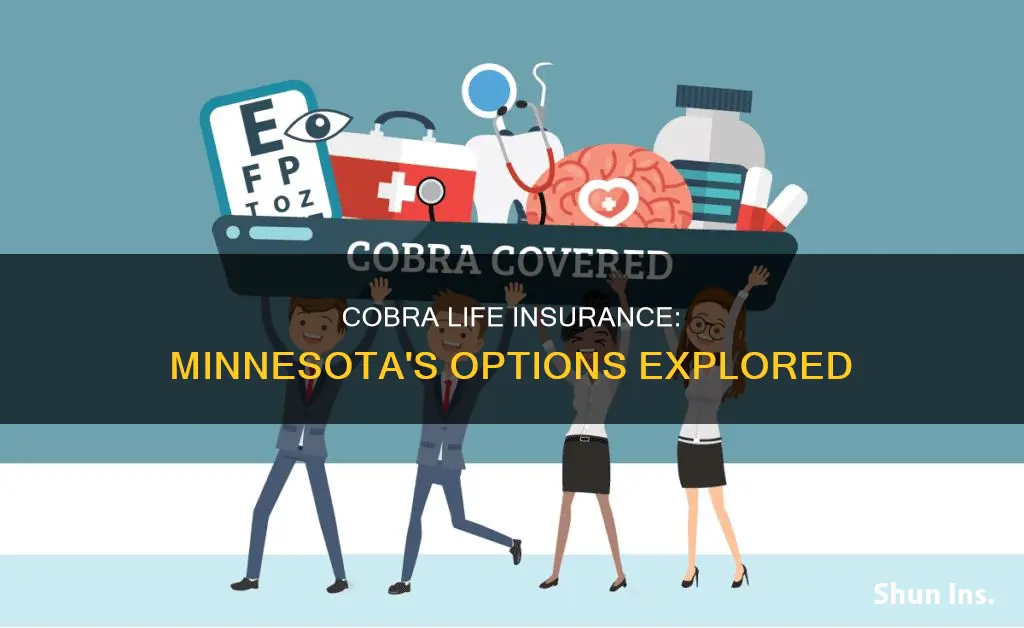 can you cobra life insurance in minnesota