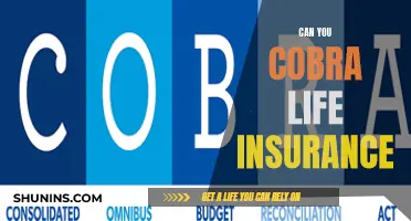 Cobra Life Insurance: What You Need to Know