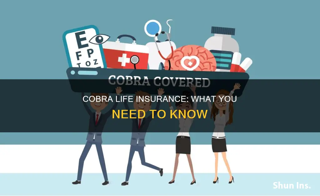 can you cobra life insurance