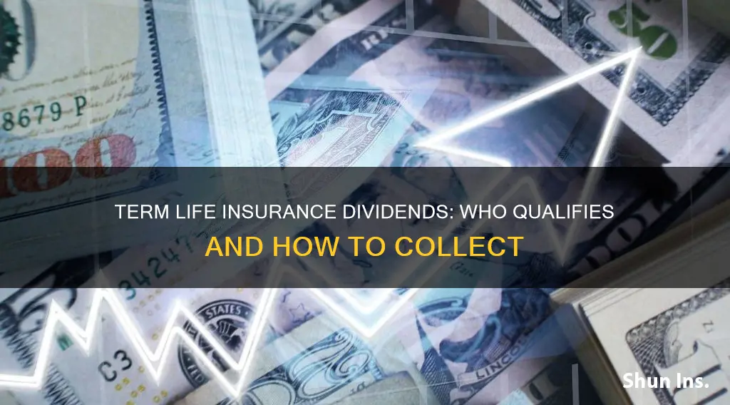 can you collect a dividend on term life insurance