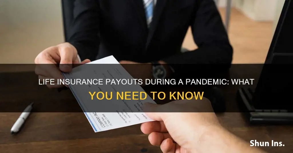 can you collect life insurance during a pandemic